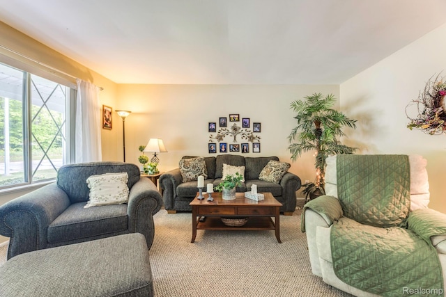 34043402 Appomattox Dr, Port Huron, MI 48060 - living room featuring light carpet