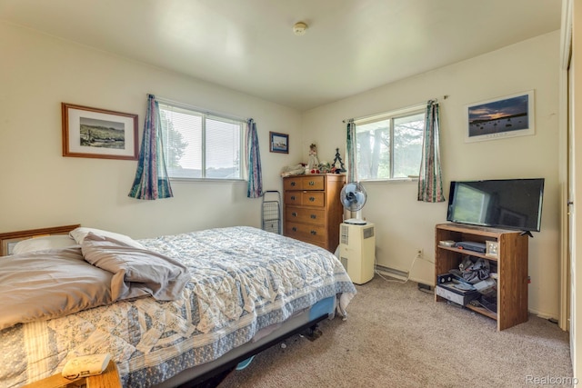 34043402 Appomattox Dr, Port Huron, MI 48060 - bedroom featuring multiple windows, light carpet, and baseboards