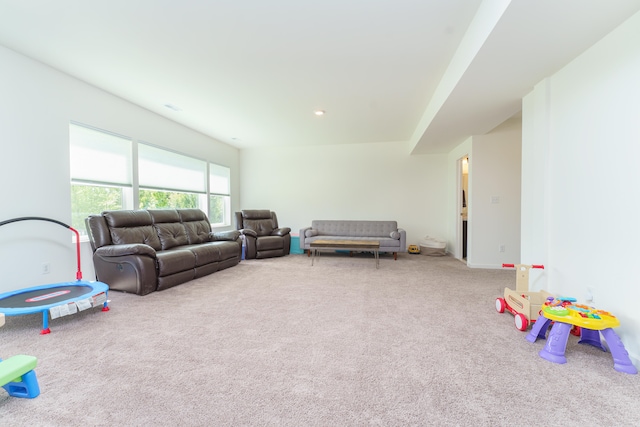19909 W Breton Ct, Chelsea, MI 48118 - rec room with carpet floors