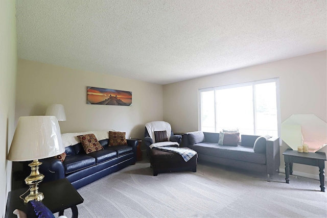 1029 N Linden Rd, Flint, MI 48532 - living area featuring carpet flooring and a textured ceiling