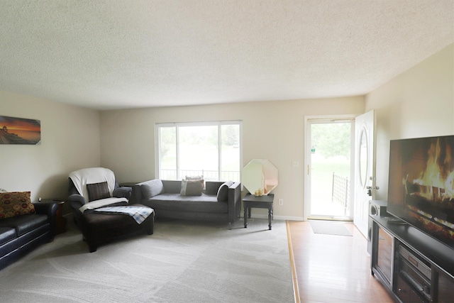 1029 N Linden Rd, Flint, MI 48532 - living room with healthy amount of natural light, a textured ceiling, and wood finished floors