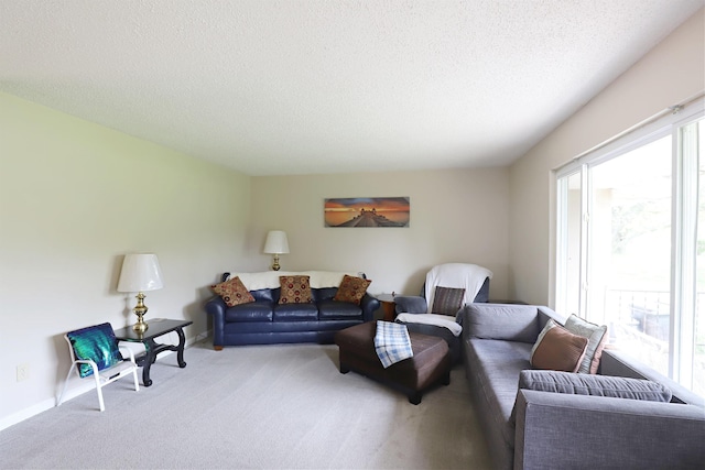 1029 N Linden Rd, Flint, MI 48532 - living room with carpet, a textured ceiling, and baseboards