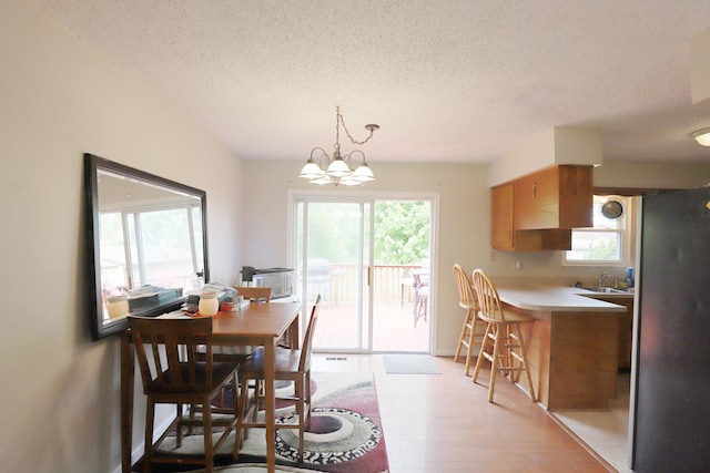 1029 N Linden Rd, Flint, MI 48532 - dining room featuring light wood finished floors, a textured ceiling, plenty of natural light, and a chandelier
