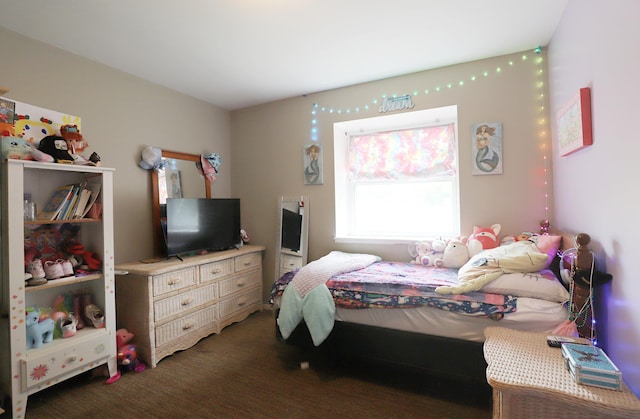 1029 N Linden Rd, Flint, MI 48532 - view of carpeted bedroom