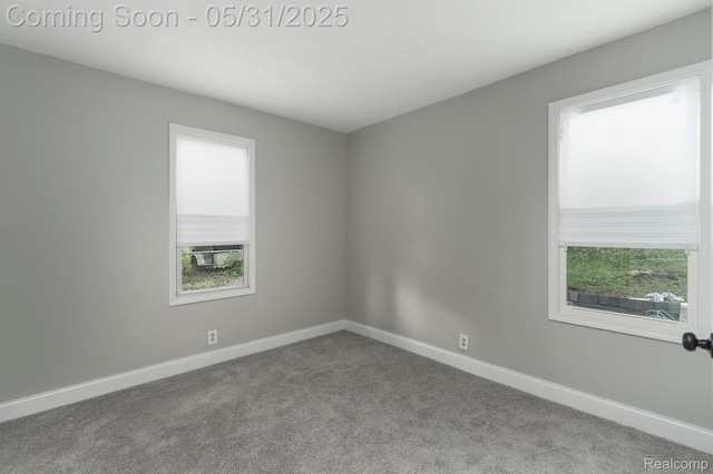 16565 Winston St, Detroit, MI 48219 - unfurnished room with plenty of natural light, carpet flooring, and baseboards