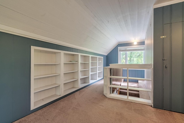 7938 E Dr N, Battle Creek, MI 49014 - bonus room with carpet floors, lofted ceiling, and built in shelves