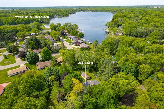 7938 E Dr N, Battle Creek, MI 49014 - bird's eye view of a forest and a large body of water