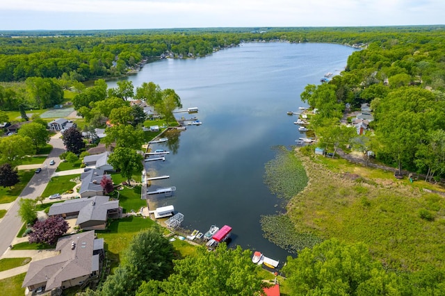 7938 E Dr N, Battle Creek, MI 49014 - bird's eye view of a nearby body of water and a heavily wooded area