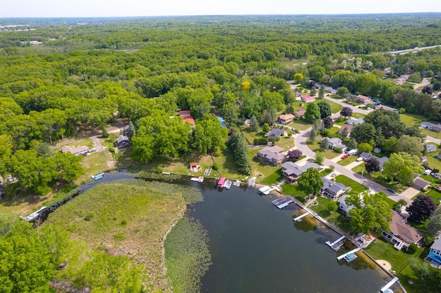 7938 E Dr N, Battle Creek, MI 49014 - drone / aerial view of a forest and a large body of water