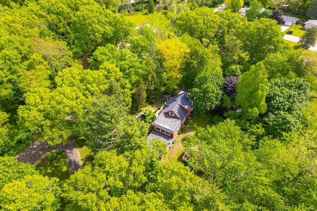 7938 E Dr N, Battle Creek, MI 49014 - bird's eye view of a forest