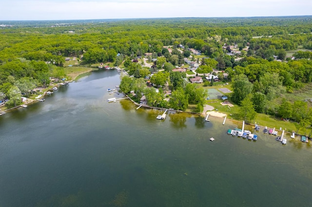 7938 E Dr N, Battle Creek, MI 49014 - view of property location featuring a forest and a nearby body of water