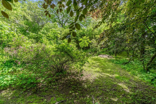 7938 E Dr N, Battle Creek, MI 49014 - view of tree filled area