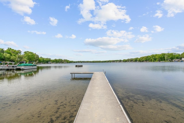 7938 E Dr N, Battle Creek, MI 49014 - dock with a water view