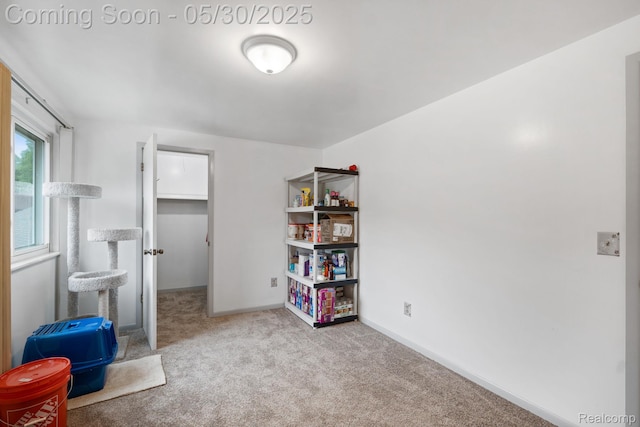 9495 Continental Dr, Taylor, MI 48180 - carpeted bedroom featuring a spacious closet and baseboards