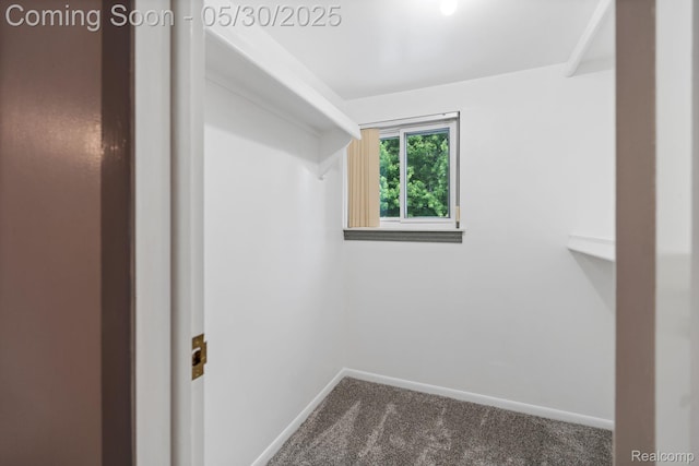 9495 Continental Dr, Taylor, MI 48180 - spacious closet featuring carpet