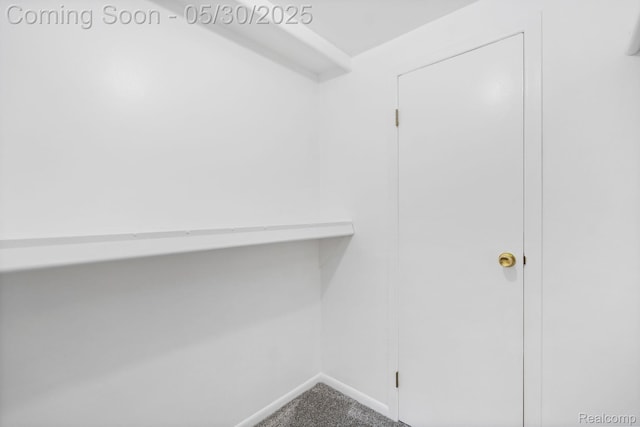 9495 Continental Dr, Taylor, MI 48180 - spacious closet with carpet flooring