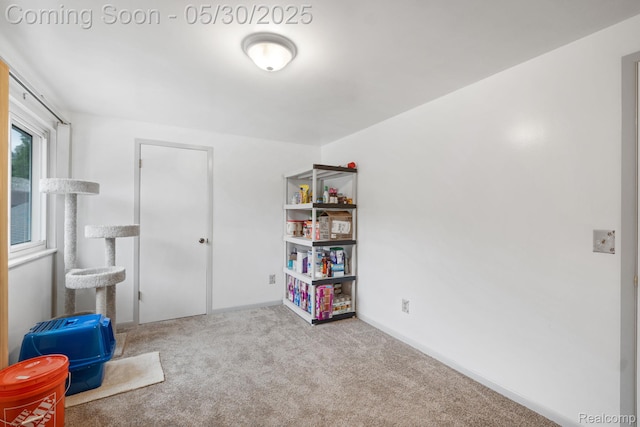 9495 Continental Dr, Taylor, MI 48180 - rec room with carpet floors and baseboards