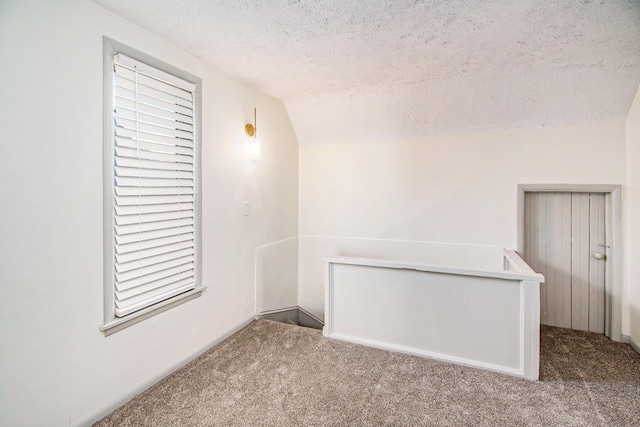 224 Spencer St NE, Grand Rapids, MI 49505 - empty room with a textured ceiling, carpet floors, and lofted ceiling