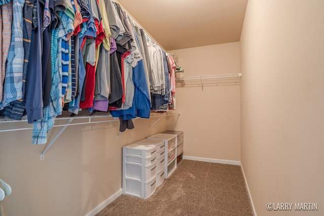 709 Wild Flower Dr, Wayland, MI 49348 - walk in closet with carpet