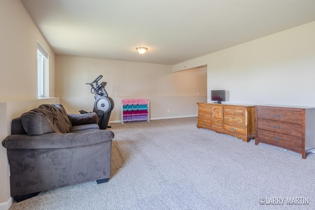709 Wild Flower Dr, Wayland, MI 49348 - sitting room featuring carpet and baseboards