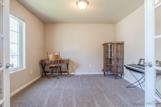 709 Wild Flower Dr, Wayland, MI 49348 - carpeted home office featuring plenty of natural light and baseboards