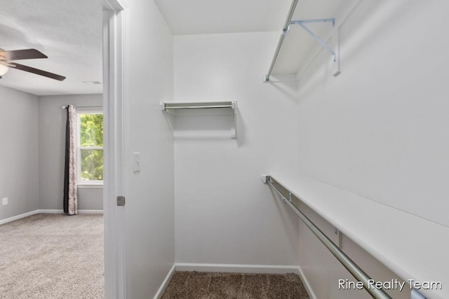 4335 Norway St, Holt, MI 48842 - spacious closet featuring carpet flooring and ceiling fan