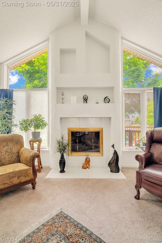 48757 Tilford Ct, Shelby Twp, MI 48315 - living room with carpet and a tile fireplace