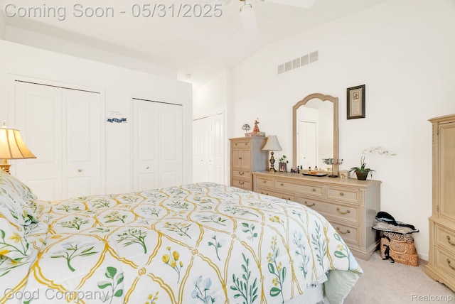 48757 Tilford Ct, Shelby Twp, MI 48315 - bedroom featuring multiple closets, lofted ceiling, and light colored carpet