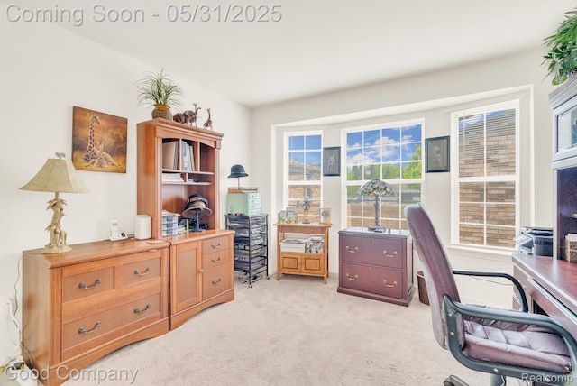 48757 Tilford Ct, Shelby Twp, MI 48315 - office featuring light colored carpet