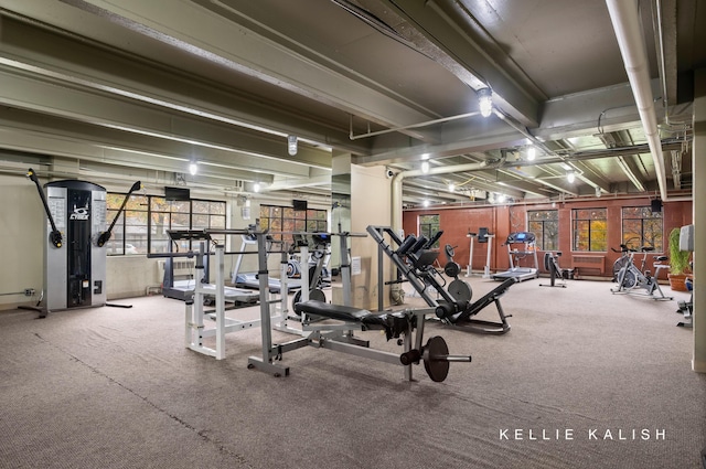 505 Cherry St SE Unit 612, Grand Rapids, MI 49503 - gym with plenty of natural light and carpet floors
