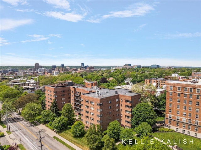 505 Cherry St SE Unit 612, Grand Rapids, MI 49503 - view of urban area