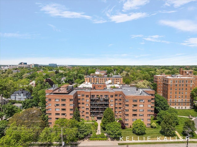 505 Cherry St SE Unit 612, Grand Rapids, MI 49503 - drone / aerial view
