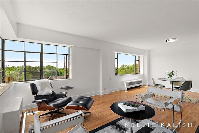 505 Cherry St SE Unit 612, Grand Rapids, MI 49503 - living room with radiator heating unit, light wood-type flooring, and baseboards