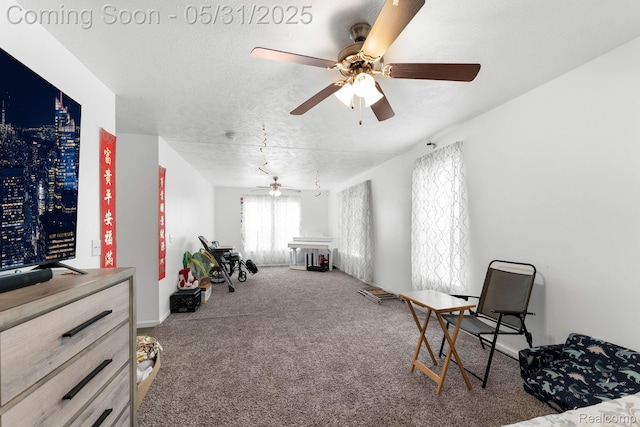 8551 Boyer Dr, Willis, MI 48191 - sitting room featuring a ceiling fan, carpet floors, and a textured ceiling