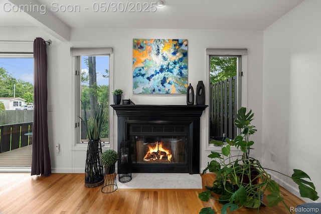 50820 Marsha Ln, New Baltimore, MI 48047 - detailed view of wood finished floors, a fireplace with flush hearth, and baseboards