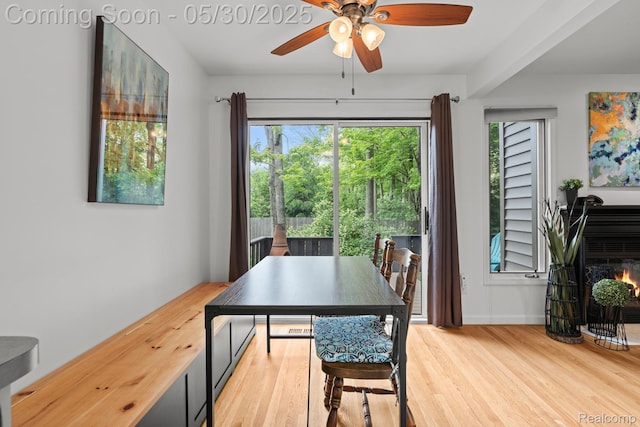 50820 Marsha Ln, New Baltimore, MI 48047 - dining room featuring ceiling fan, wood finished floors, baseboards, and a warm lit fireplace