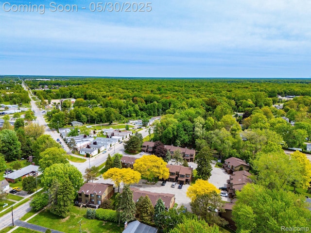 50820 Marsha Ln, New Baltimore, MI 48047 - aerial view of a forest