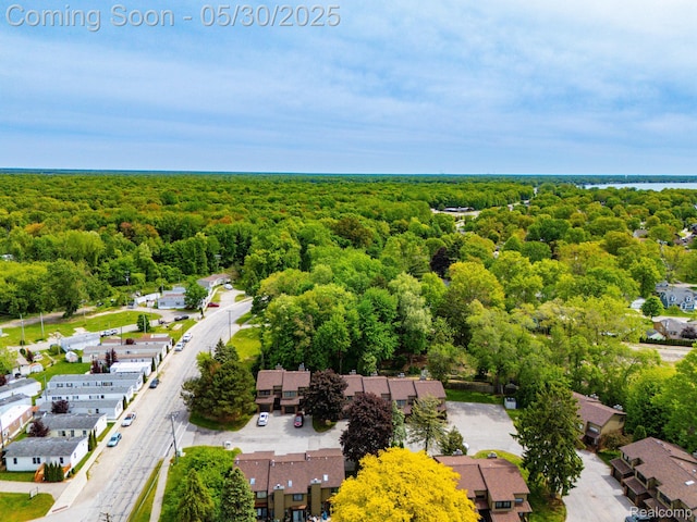 50820 Marsha Ln, New Baltimore, MI 48047 - bird's eye view of a forest