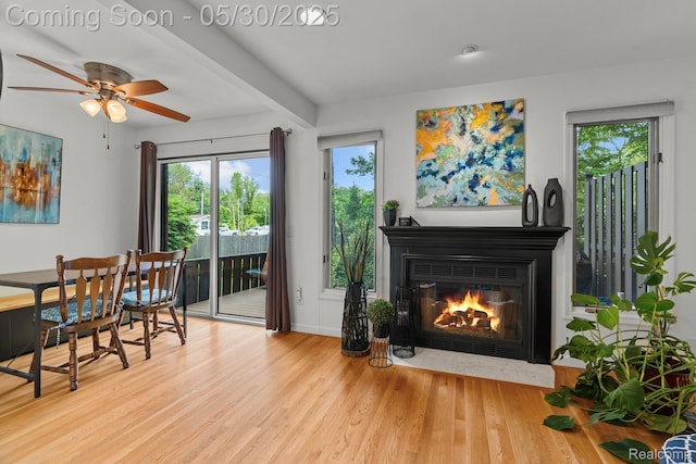 50820 Marsha Ln, New Baltimore, MI 48047 - dining room with wood finished floors, plenty of natural light, ceiling fan, a fireplace with flush hearth, and beamed ceiling