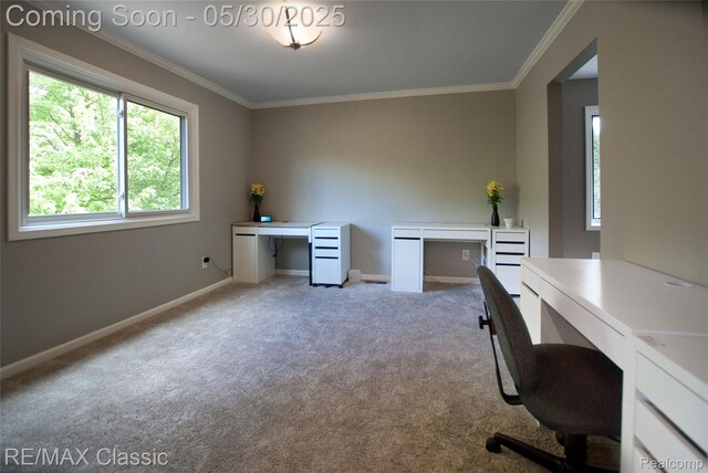44500 Louvert Ct, Novi, MI 48375 - carpeted office space with crown molding and baseboards