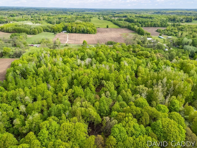 9081 E Baker Rd, Hesperia, MI 49421 - overview of rural landscape featuring a forest