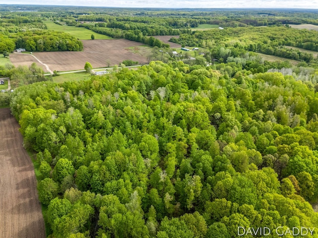 9081 E Baker Rd, Hesperia, MI 49421 - bird's eye view of a forest