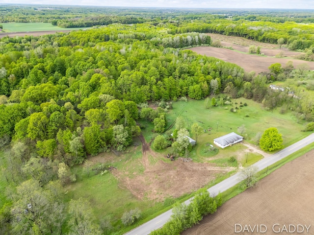 9081 E Baker Rd, Hesperia, MI 49421 - aerial view of a heavily wooded area