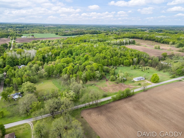9081 E Baker Rd, Hesperia, MI 49421 - drone / aerial view of a forest