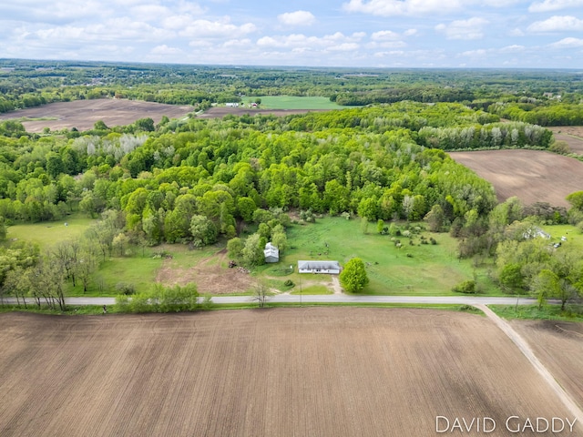 9081 E Baker Rd, Hesperia, MI 49421 - bird's eye view