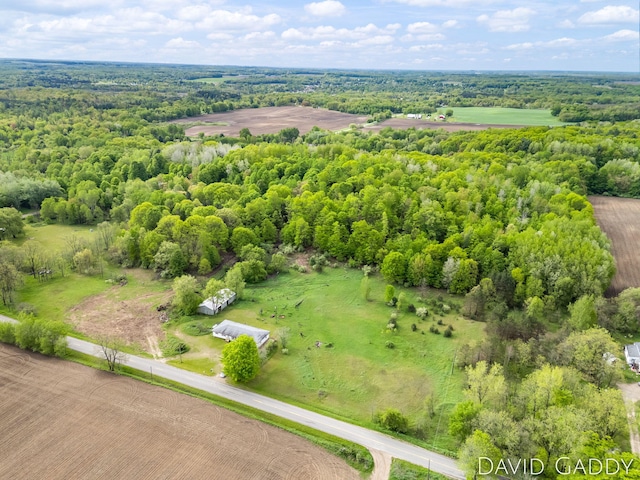 9081 E Baker Rd, Hesperia, MI 49421 - bird's eye view of a forest