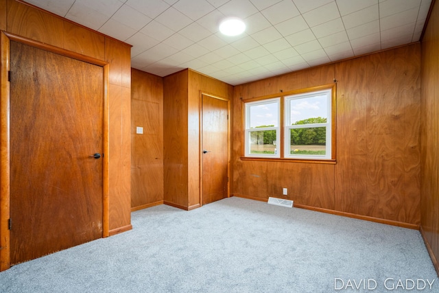 9081 E Baker Rd, Hesperia, MI 49421 - unfurnished bedroom featuring carpet floors, wooden walls, and baseboards