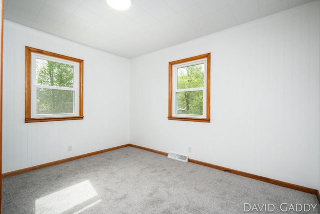 9081 E Baker Rd, Hesperia, MI 49421 - carpeted spare room featuring healthy amount of natural light, baseboards, and wooden walls