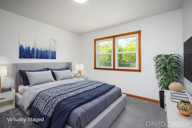9081 E Baker Rd, Hesperia, MI 49421 - carpeted bedroom with baseboards