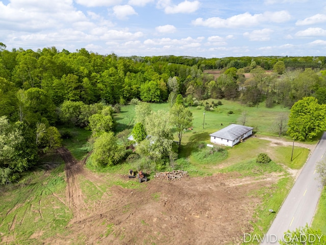 9081 E Baker Rd, Hesperia, MI 49421 - view of rural area